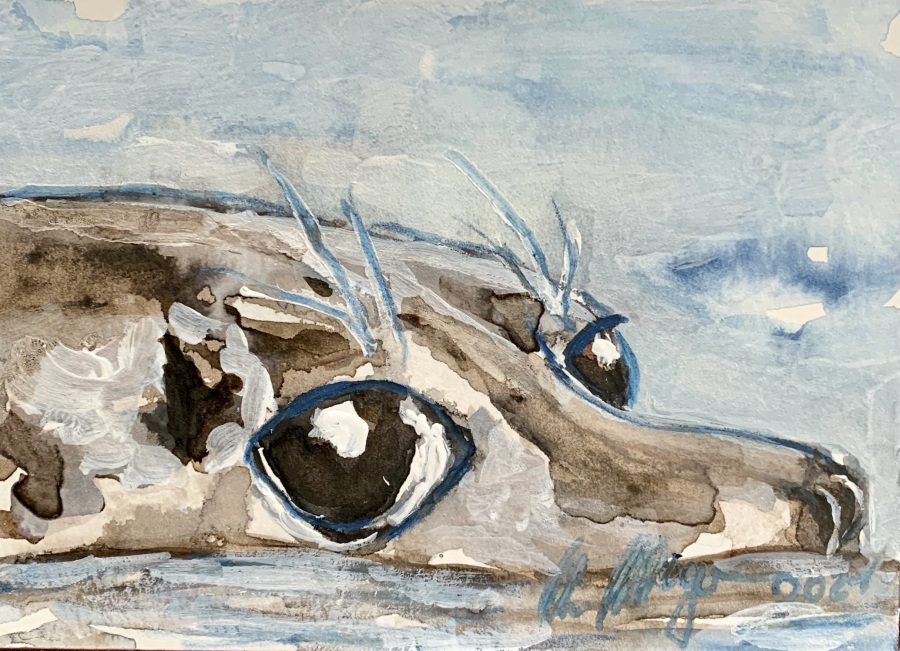 Jerrez - Costa de la Luz